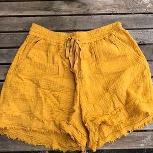 Anthropologie shorts